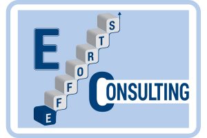 Efforts Consulting