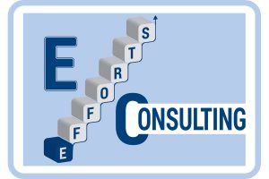 Efforts Consulting