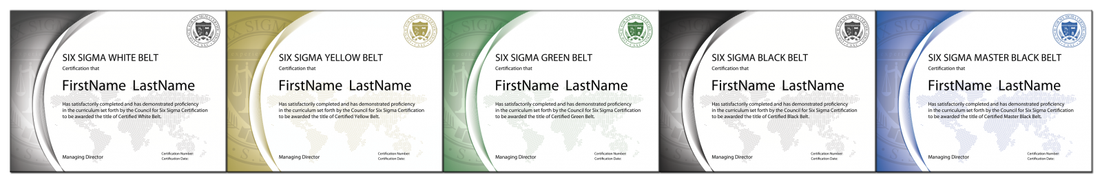 The Council for Six Sigma Certification - Official Industry Standard